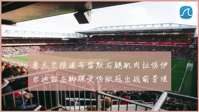 意天空报道布雷默右腿肌肉拉伤伊尔迪兹左脚踝受伤欧冠出战前景堪忧