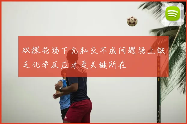 双探花场下无私交不成问题场上缺乏化学反应才是关键所在