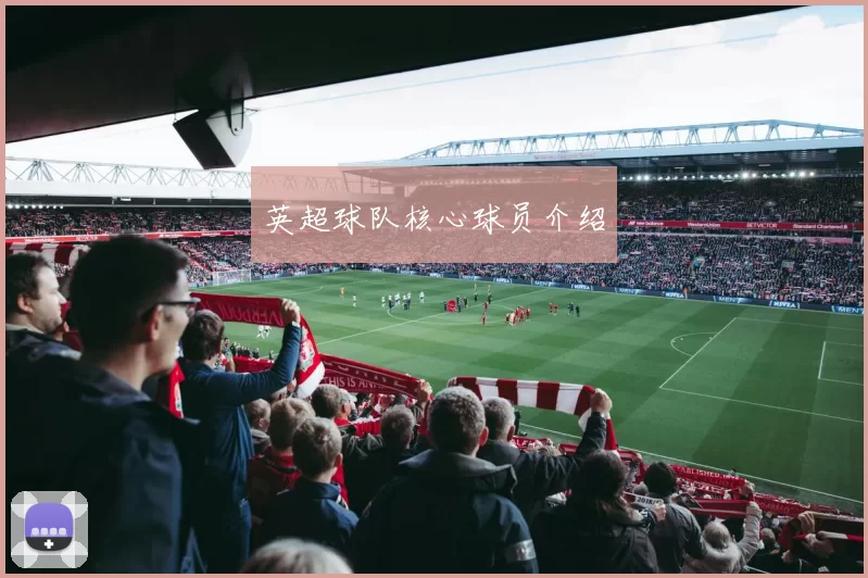英超球队核心球员介绍