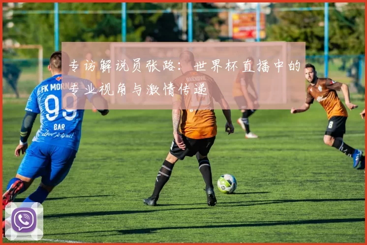 专访解说员张路：世界杯直播中的专业视角与激情传递