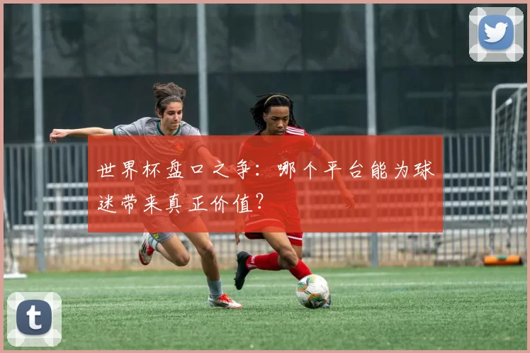 世界杯盘口之争：哪个平台能为球迷带来真正价值？
