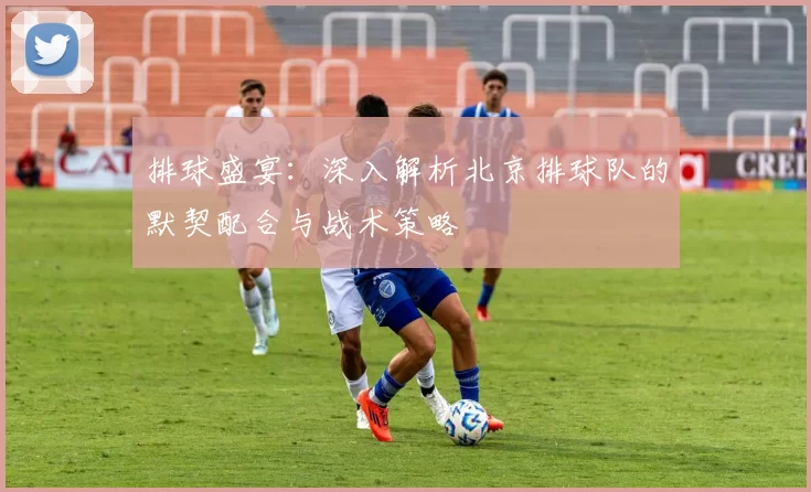排球盛宴：深入解析北京排球队的默契配合与战术策略