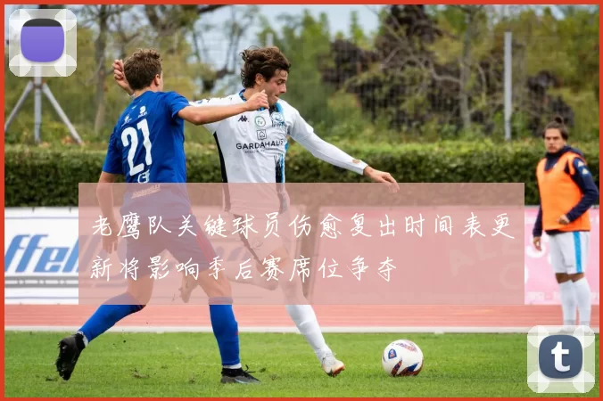 老鹰队关键球员伤愈复出时间表更新将影响季后赛席位争夺