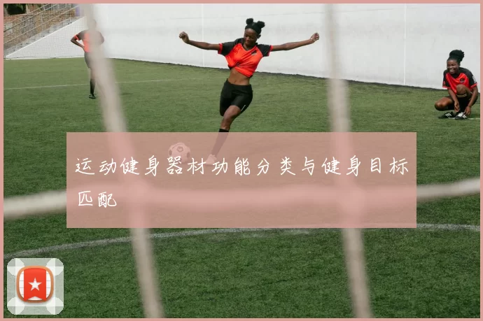 运动健身器材功能分类与健身目标匹配