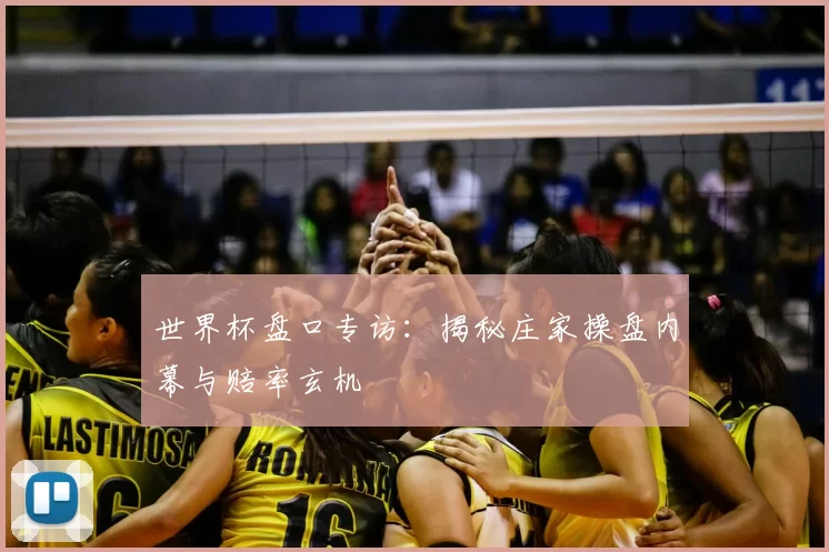 世界杯盘口专访:揭秘庄家操盘内幕与赔率玄机