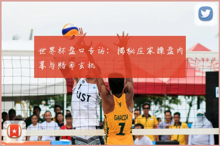 世界杯盘口专访:揭秘庄家操盘内幕与赔率玄机