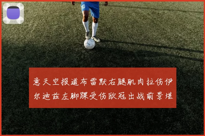 意天空报道布雷默右腿肌肉拉伤伊尔迪兹左脚踝受伤欧冠出战前景堪忧
