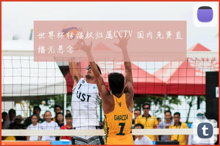 世界杯转播权归属CCTV 国内免费直播无悬念