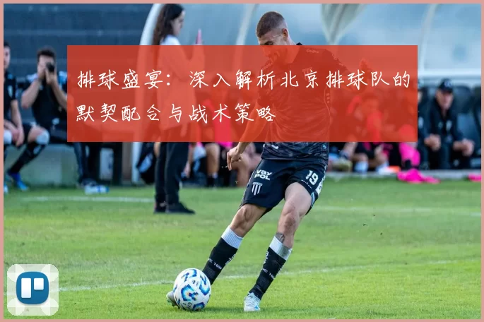 排球盛宴：深入解析北京排球队的默契配合与战术策略