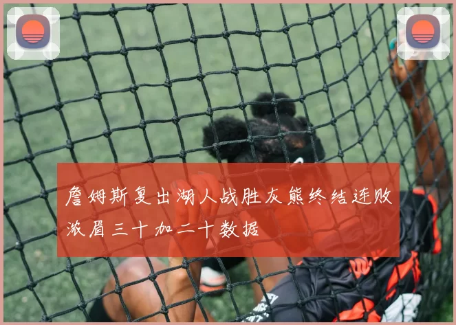 詹姆斯复出湖人战胜灰熊终结连败浓眉三十加二十数据