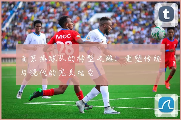南京排球队的转型之路：重塑传统与现代的完美结合