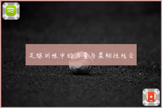 足球训练中的力量与柔韧性结合