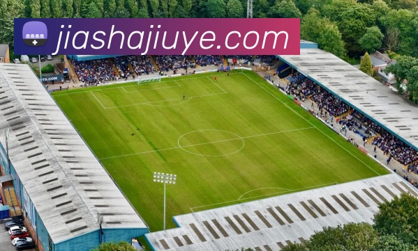 App Interface Preview